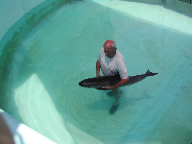 Florida Photo 3